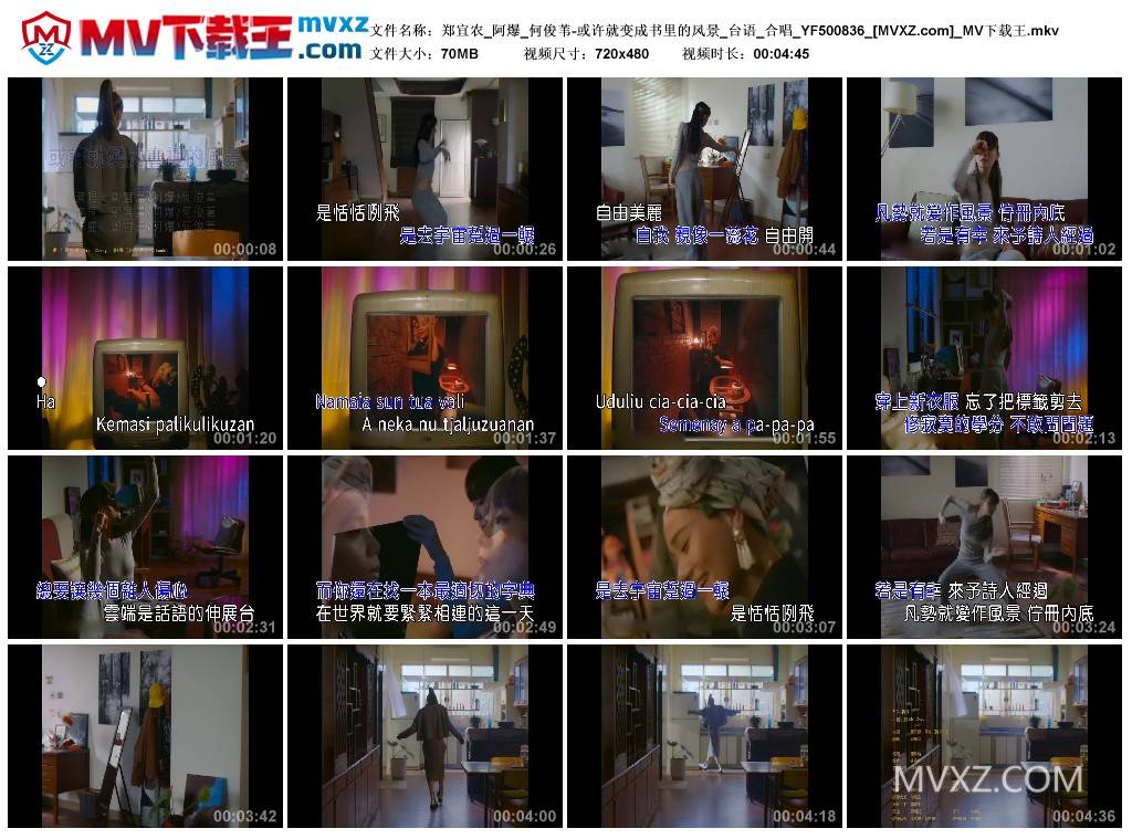 郑宜农_阿爆_何俊苇-或许就变成书里的风景_台语_合唱_YF500836